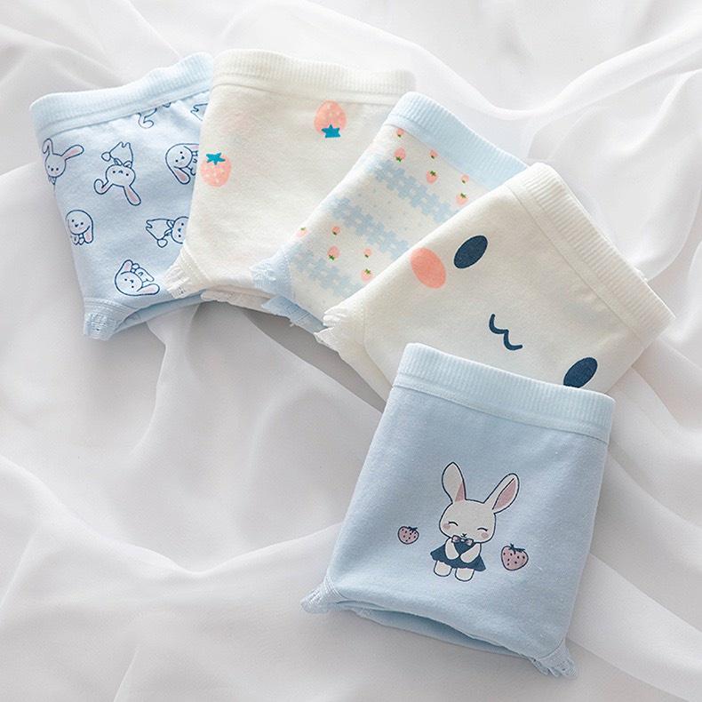 Product Introduction of Set 10 Quần Lót Nữ Cotton Thỏ Con Xinh Yêu Ngang Eo Thời Trang Dễ Thương 8015 Women Nhung 40