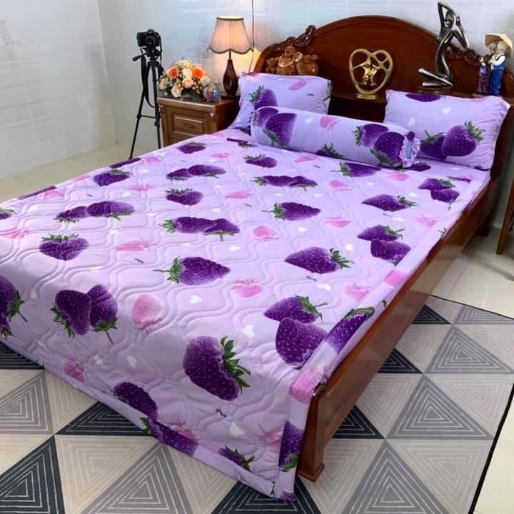 Bộ ga thun Hàn quốc mẫu dâu 3