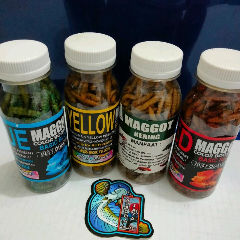Maggot kering pakan ikan predator color booster 1