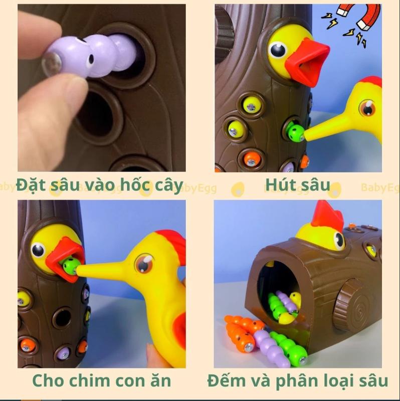 Bộ đồ chơi chim ăn sâu và gõ kiến bắt sâu cho bé phát triển trí tuệ Montessori 2