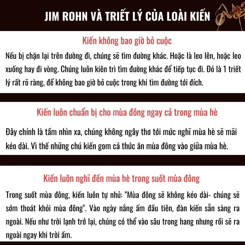 Combo Sách Tham vọng vĩ đại + Càng kiên định càng thành công - Sách về phẩm chất cần có để thành công 5