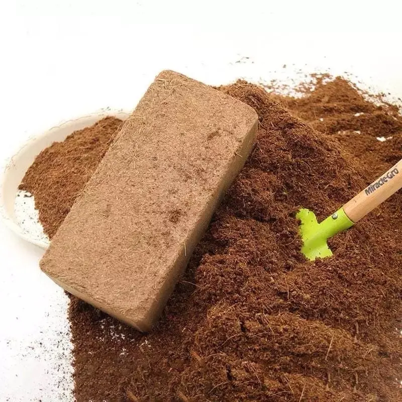 Combo 5 Viên nén sơ dừa hữu cơ 500g, Tặng 1 túi hạt giống F1 3