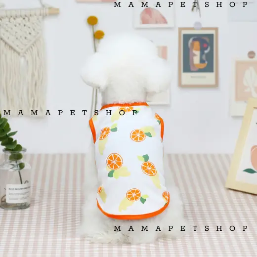 Áo Thun Hoạ Tiết Trái Cây Mùa Hè Cho Thú Cưng, Áo Ba Lỗ Thoáng Mát Cho Chó Mèo - Mamapetshop S Multicoloured 5