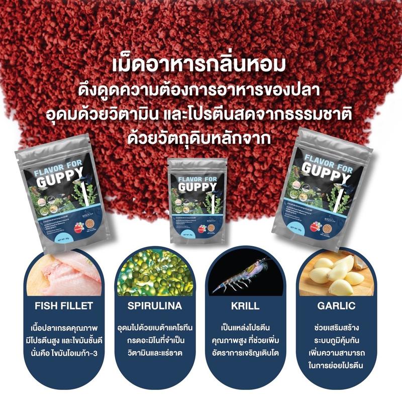 อาหารปลาหางนกยูง FLAVOR FOR GUPPY 50g. โปรตีนสูง อุดมด้วยวิตามิน ช่วยให้ปลาเติบโตอย่างมีประสิทธิภาพสีสันสวยงาม 2