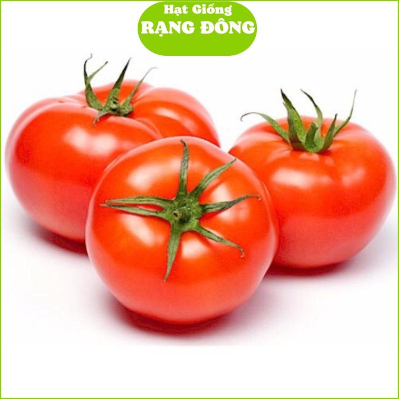 Hạt Giống Cà Chua Chịu Nhiệt Lai F1 RD 28 (Gói 0.1gram - Khoảng 25 hạt) Trái to, chịu nhiệt tốt, trồng quanh năm