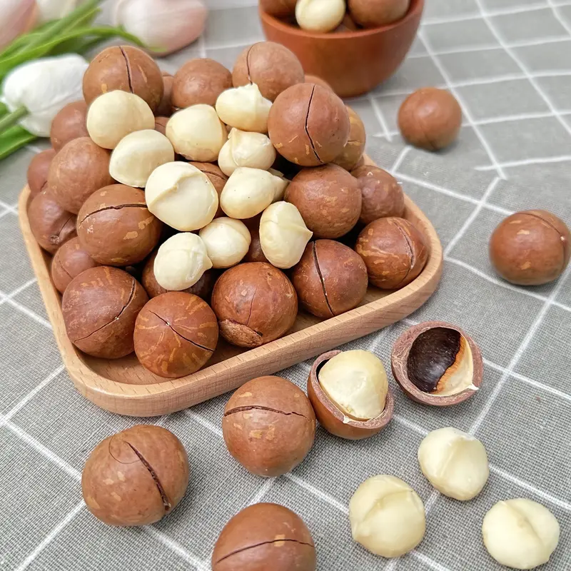 500GRAM HẠT MACCA ĐĂKLĂK SIZE TRUNG - ĐƯỜNG KÍNH 2.3CM ĐẾN 2.8CM - HẠT MACCA SẤY LẠNH TÁCH VỎ ĂN LIỀN 3