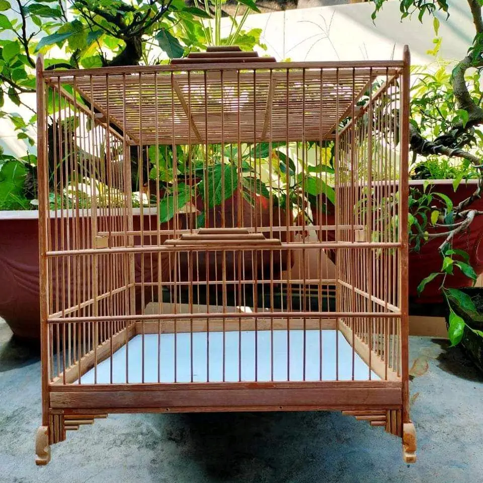 khung lồng Chào mào tre già vuông 37  dl