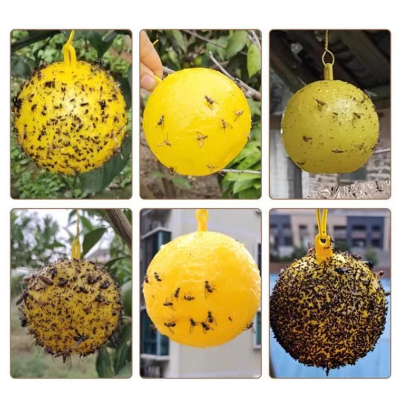 Product Introduction of Mồi Quả Bóng Bay, Mồi Quả Bóng Côn Trùng, Quả Bóng Côn Trùng Dính, Mồi Quả Bóng, Thích Hợp Để Thu Hút Ruồi, Hình Dưa, H0Z7 22