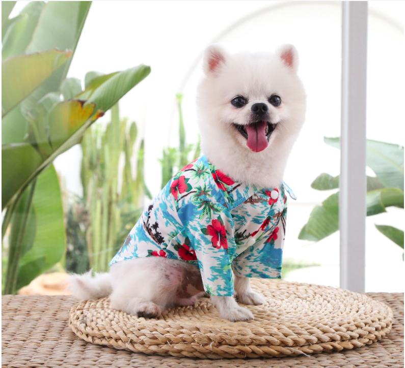 Product Introduction of Pet dog cat hawaiian spring polo shirt summer polo clothing 20