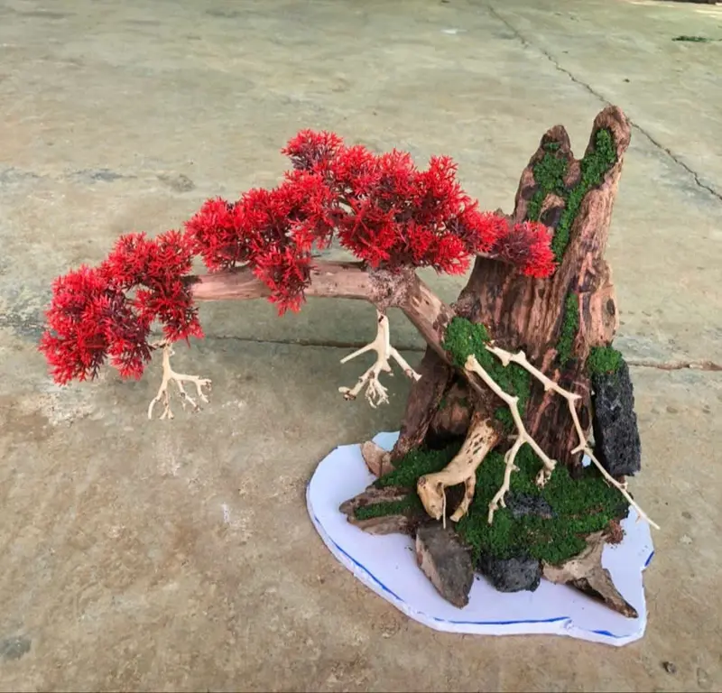 Lũa Bonsai ôm núi cho bể cá cảnh/ Decor trang trí 3