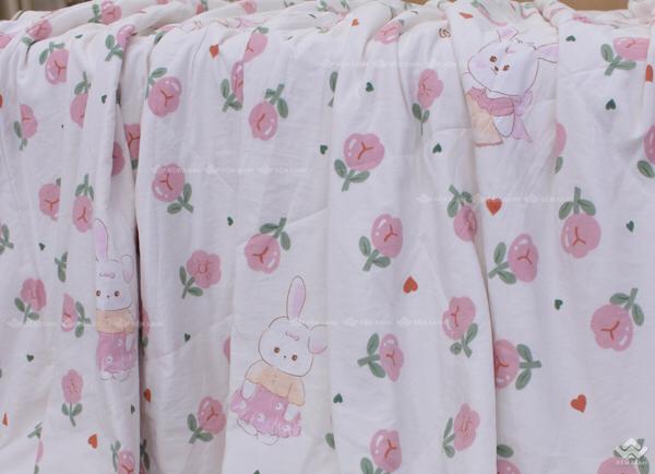 Product Introduction of Chăn hè xơ đậu nành 8