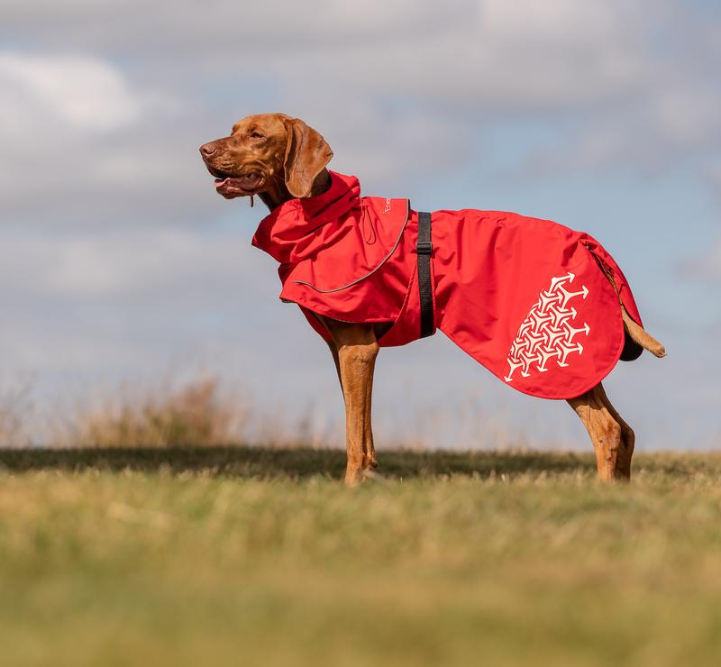 iEnergy LUN Water-Resistant Jacket for Dogs - Warm and Insulated for Cold and Wet Weather 0