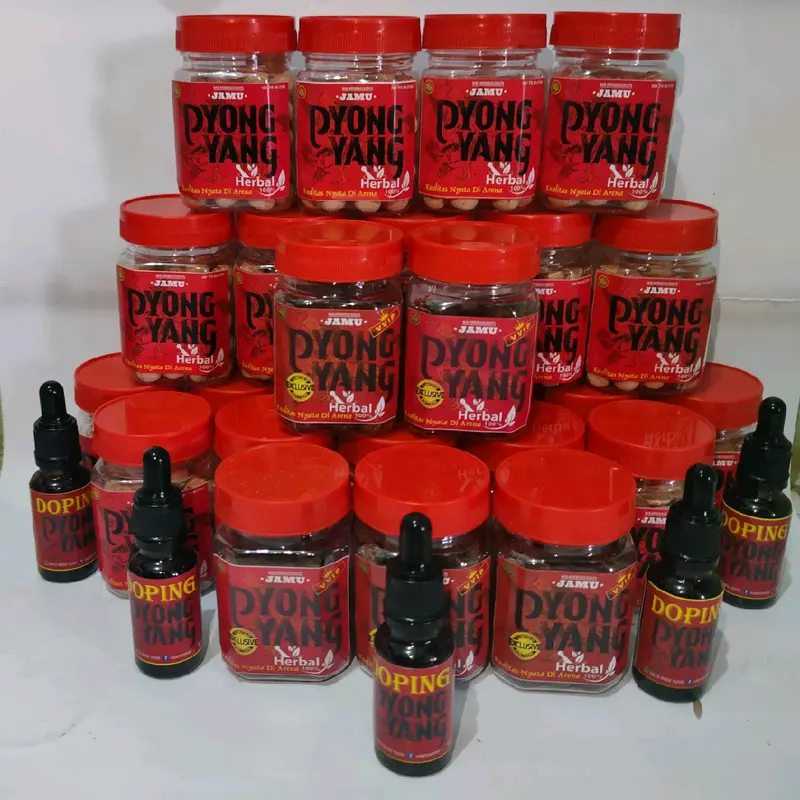 DOPING AYAM ADUAN PYONGYANG 2