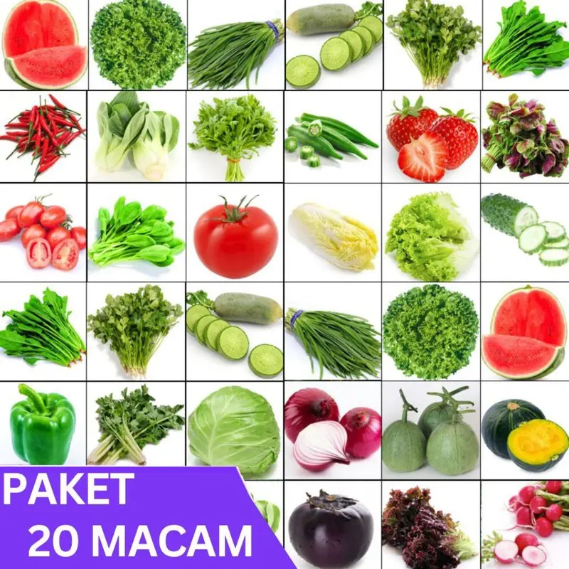 PAKET 20 BENIH SAYURAN LENGKAP MUDAH TUMBUH TANAMAN BUAH BIJI UMBI BUNGA COD 0