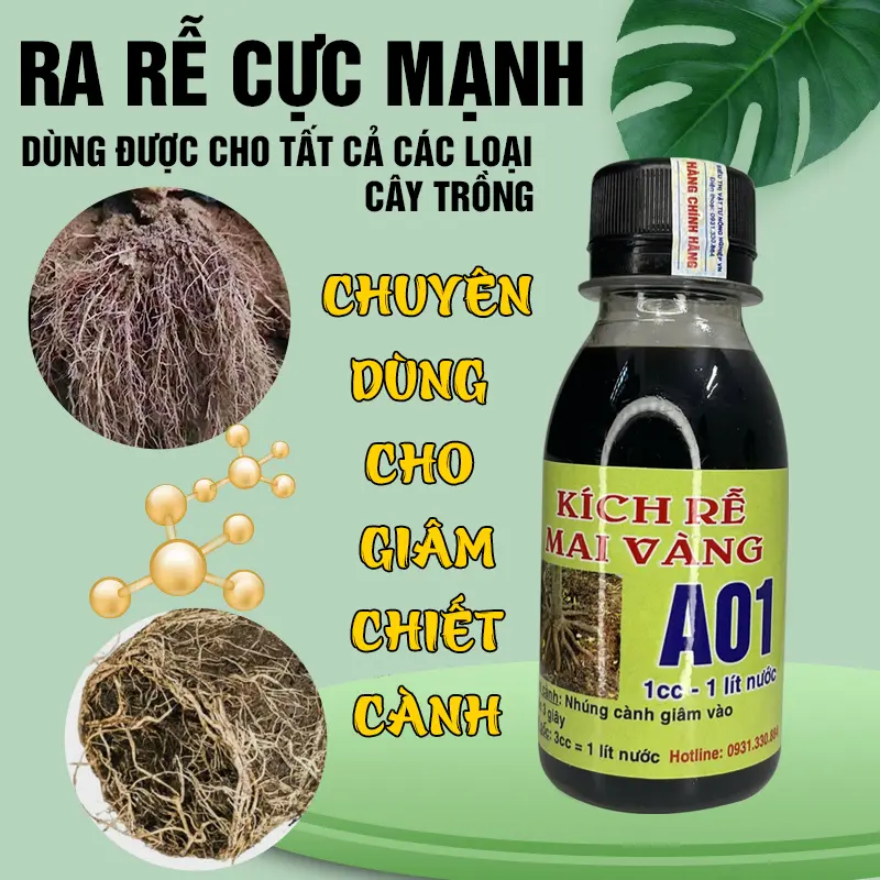 Kích Rễ Mai Vàng A01 Chính Hãng - Ra Rễ Cực Mạnh - Dùng Được Cho Tất Cả Các Loại Cây Trồng