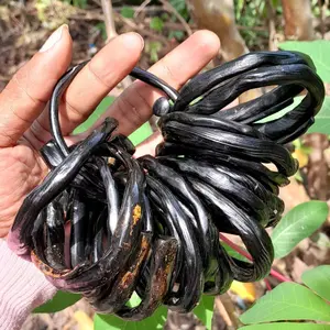 gelang akar bahar hitam lentur Harian