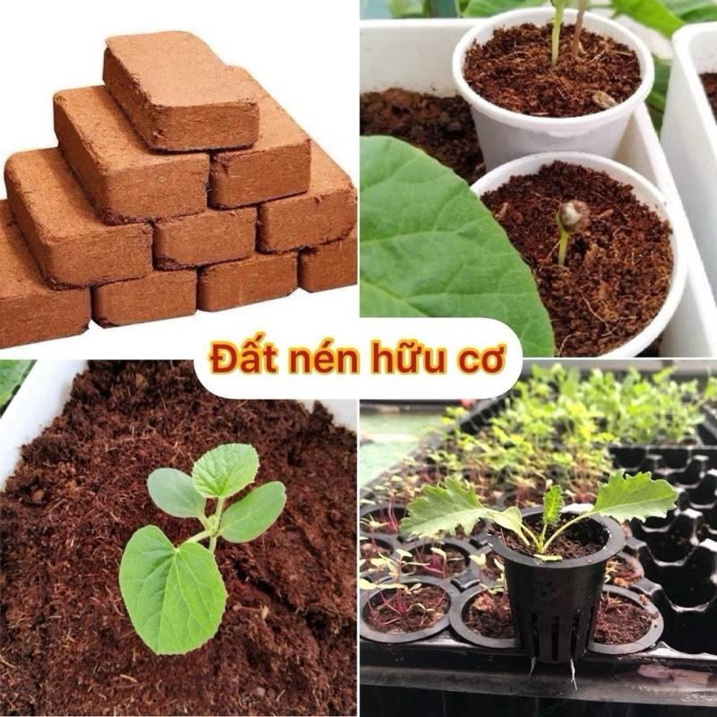 COMBO 10 Viên Đất Trồng Cây Viên Đất Nén Xơ Dừa Tiện Ích diệt khuẩn kháng sâu bệnh bổ sung nhiều vi sinh hữu cơ cho cây rau củ quả hoa