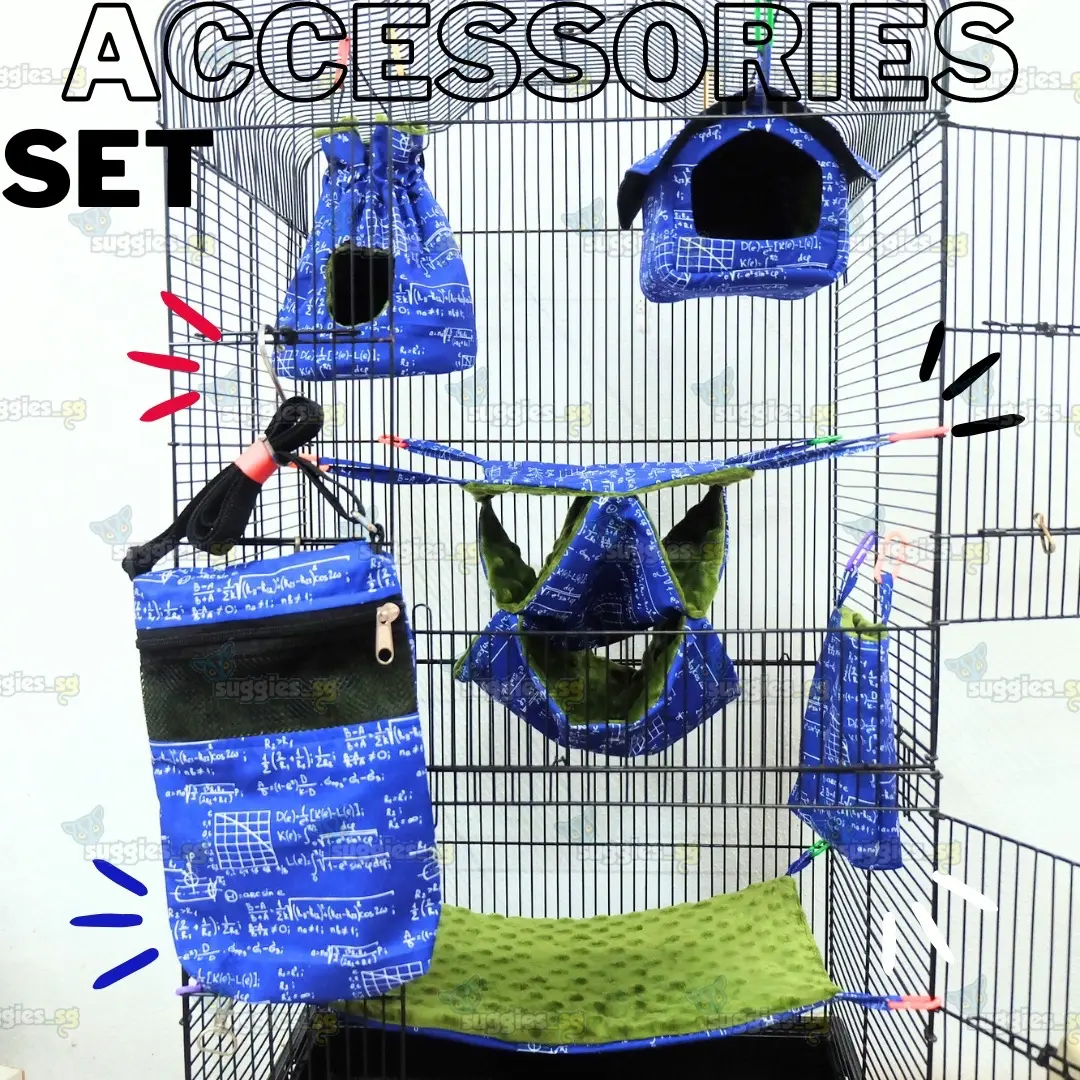 set accessories for sugar glider