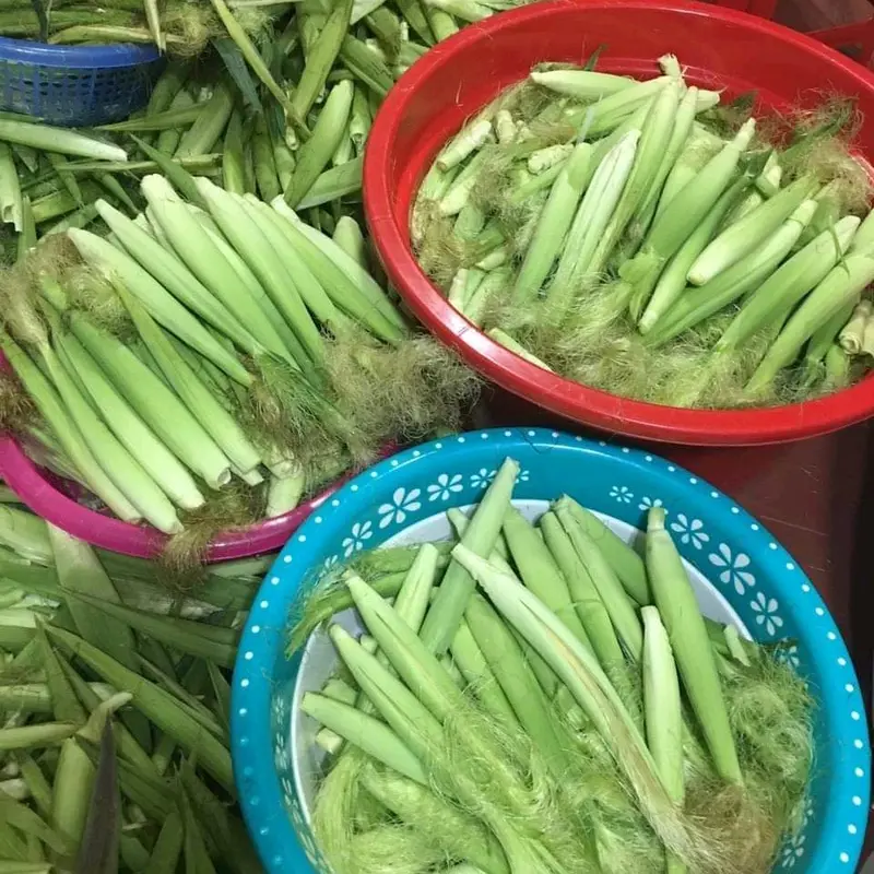 Sinh tố men lá Ngô Bao tử 5L+1L 5