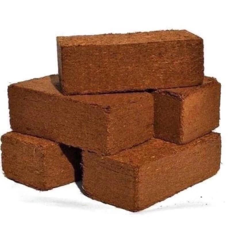 ￼ 1 viên nén xơ dừa trồng cây cảnh tại nhà, tại chung cư, dễ sử dụng, tiện ích