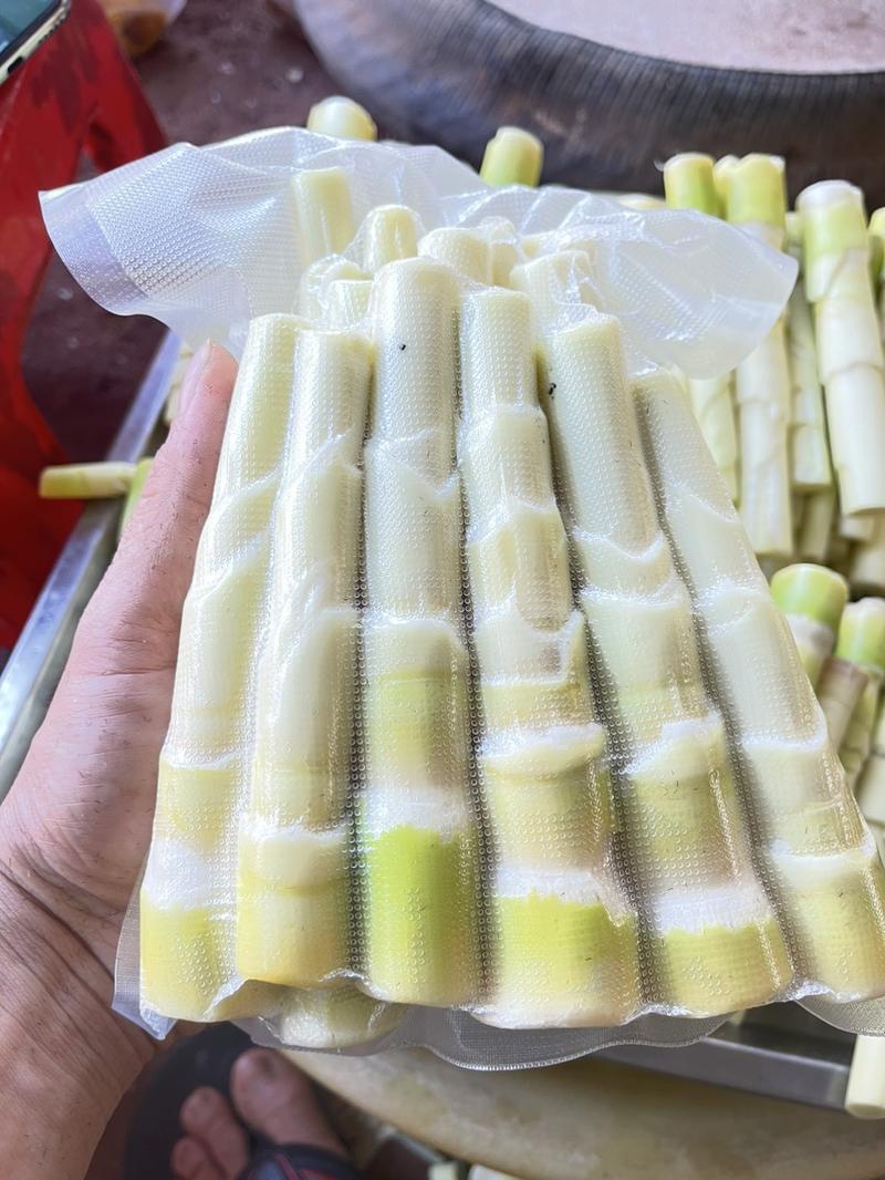 Product Introduction of măng trúc luộc hút chân không (1kg) 1