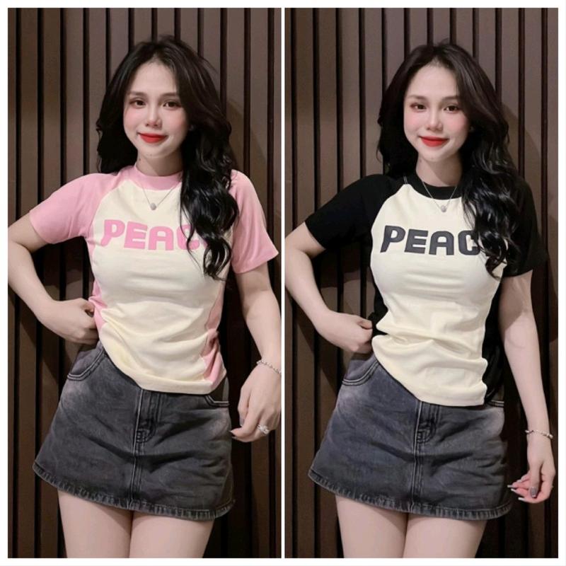 Áo thun form ôm bigsize 45-80kg chất thun gân tăm co giãn mặc mát có nhiều màu 511 , 512 0