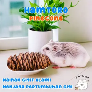 Pine Cone Mainan gigit Hamster/Hamster Chew Toy Biji pinus Buah Cemara Dekorasi