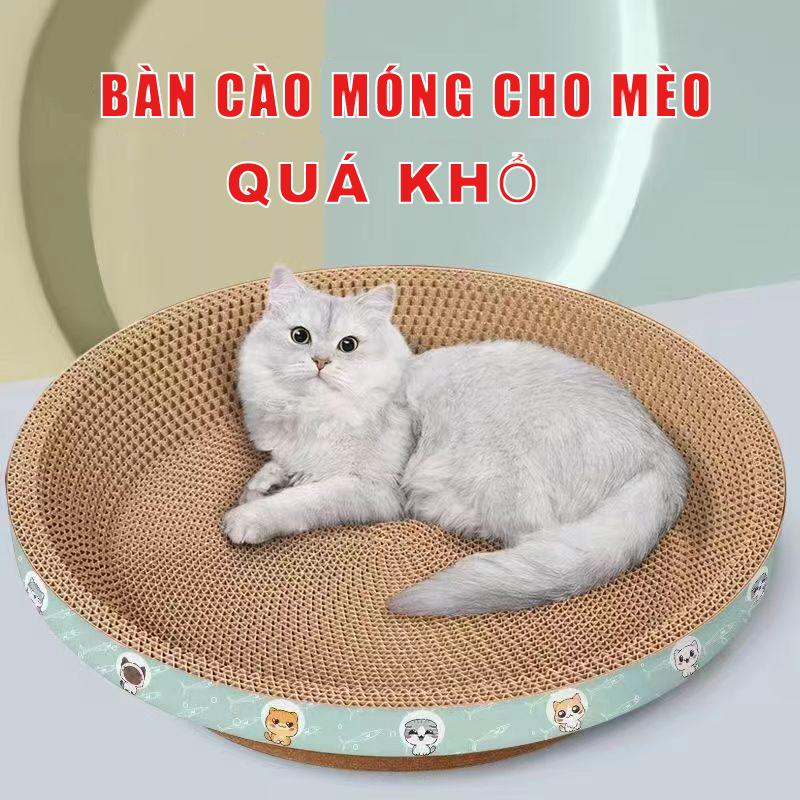  thảm cào móng Quá khổ Hàng HOT Bàn Cào Móng cho mèo hai lớp có thể tháo rời Ổ nằm chống xước 33cm Tặng kèm cỏ bạc hà Cào móng cho mèo hình tròn kết hợp ổ nằm nhiều size to  nhỏ Chất lượng hàng Trung 
