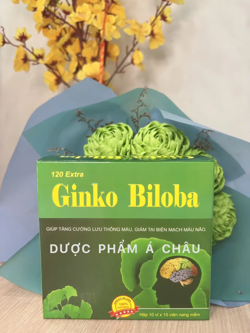 VIÊN UỐNG GINKO BILOBA - GIÚP TĂNG CƯỜNG LƯU THÔNG MÁU, GIẢM TAI BIÊN MẠCH MÁU NÃO CAO