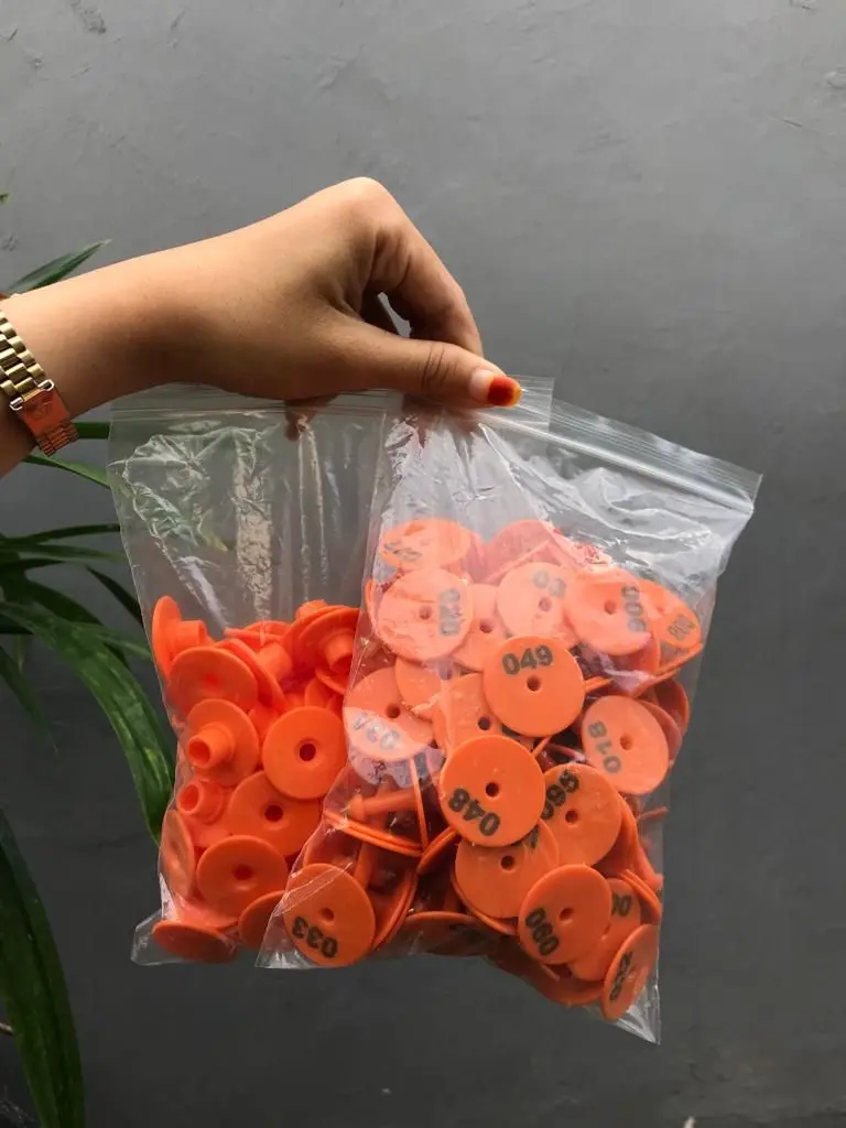 Eartag Kambing Domba Sapi Babi Nail Ear Tag Replacement Eartag Ternak Hewan Kelinci Kambing Domba Kuda Sapi 1Set 100
