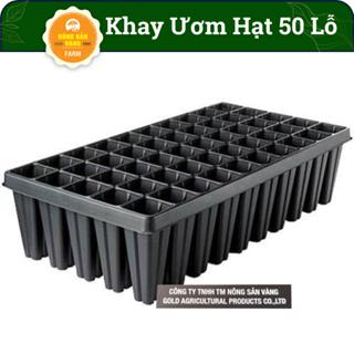 Khay Ươm Hạt Giống 50 Lỗ Kích Thước 55*30*5.5 cm , Vỉ Ươm Giúp Cho Hạt Nảy Mầm Tốt - Nông Sản Vàng 6