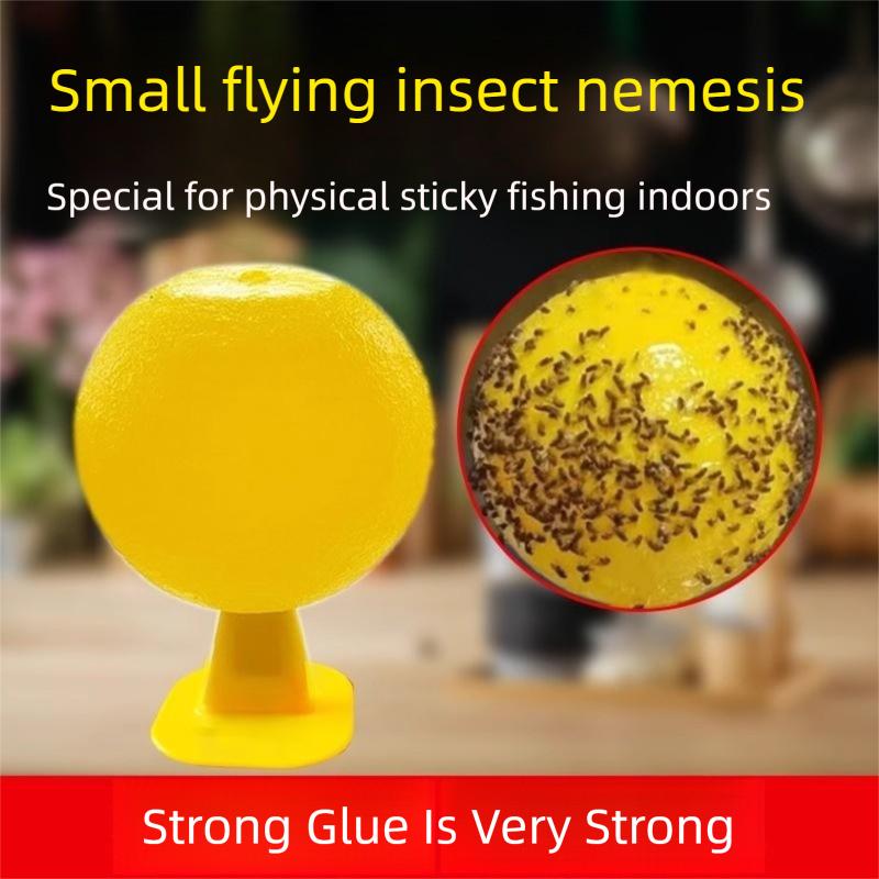 Fruit Fly Trapper Small Flying Insect Killing Artifact Indoor Mosquito ...