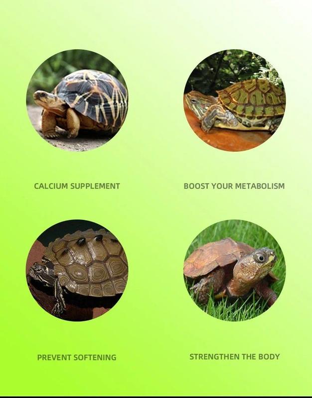 Product Introduction of Turtle Basking Platform Resting Terrace with Fake Turf Tortoise Ramp Fish Tank Aquarium Platform Ladder Lawn Home Decoration 3