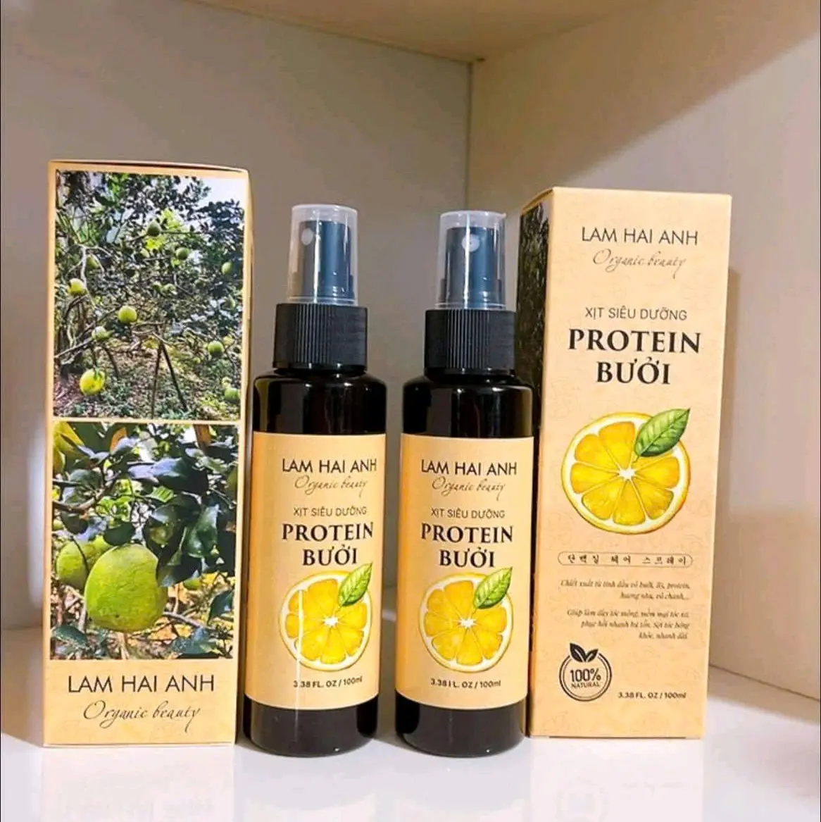 Xịt siêu dưỡng Protein Bưởi Lam Hải Anh 100ml, xịt mọc tóc, giúp nuôi dưỡng chân tóc khoẻ, cung cấp độ ẩm cho mái tóc, chống khô, chống rối..