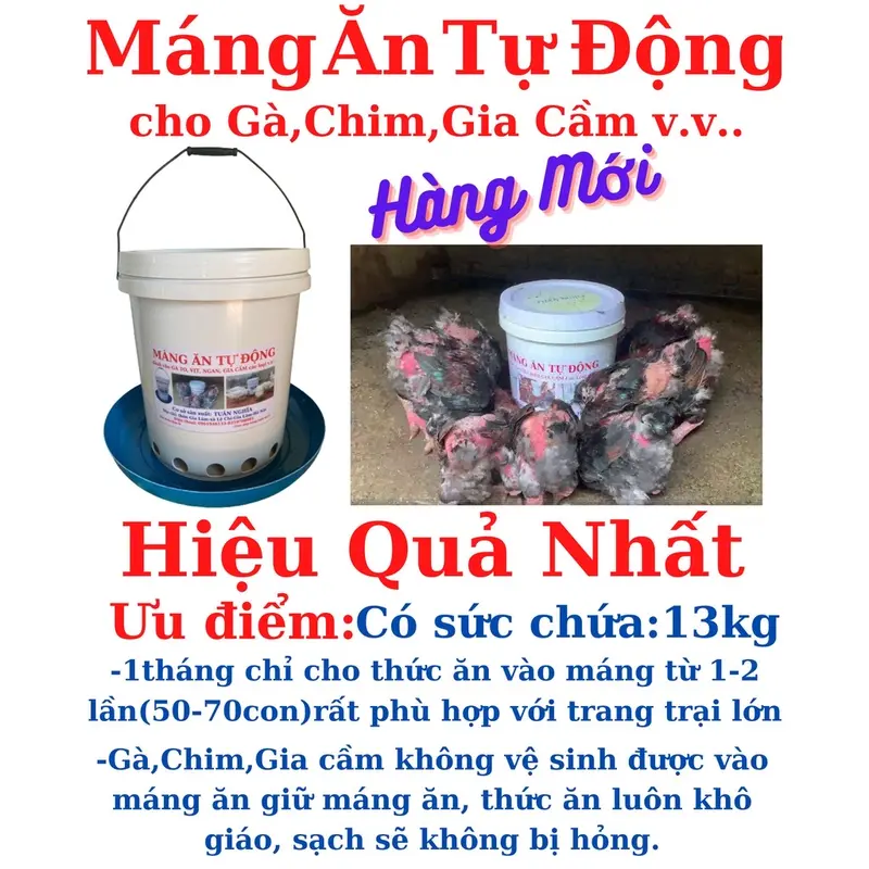 Máng ăn tự động cho Gà, Chim, dùng siêu bền hiệu quả nhất. 1