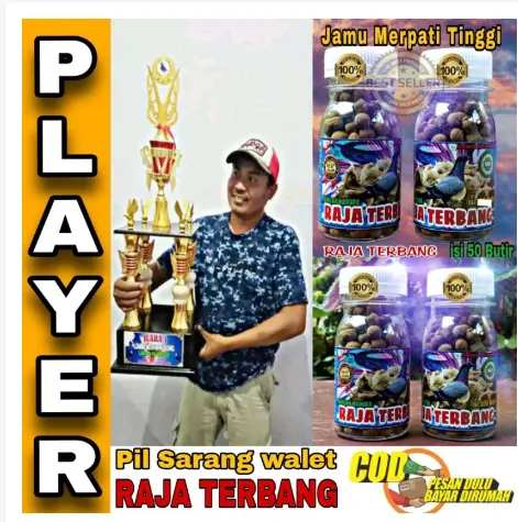 50 Butir Pil SARANG WALET RAJA TERBANG / jamu merpati Tinggi Pukul Manuver / Doping super giring keket / jamu merpati kolong jamu 1
