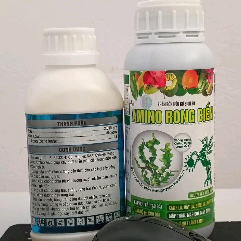 chống rụng, dưỡng trái , lớn trái 3