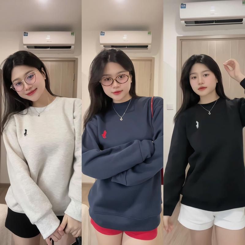 Áo nỉ sweater thêu ngựa nam nữ áo dài tay form rộng chất nỉ bông thêu hoạ tiết đơn giản vải dày dặn cực ấm bo tay bo cổ mềm không rão-women top Hoodie thudong
