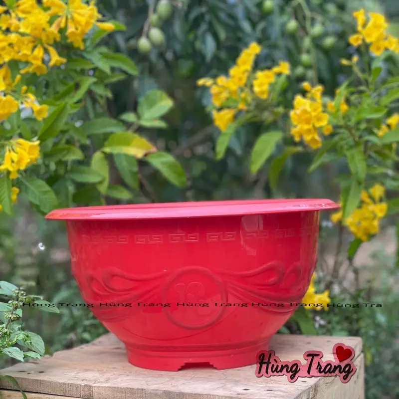 [ 5 cái ] Chậu nhựa trồng cây T38 dày dặn ( miệng 36 x cao 20cm ) chậu  hoa 6