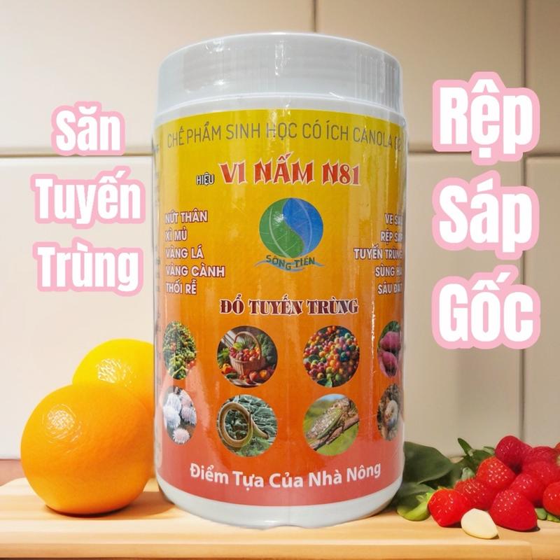 Phân bón  Vi Nấm N81 - Đổ tuyến trùng, Săn tuyến trùng, rệp sáp gốc, Giúp cải tạo đất, cung cấp vi sinh vật có lợi cho đất, giúp phòng thối rễ, vàng lá, vàng cành, rụng lóng, tháo đốt chế  phẩm imo học phân  hữu