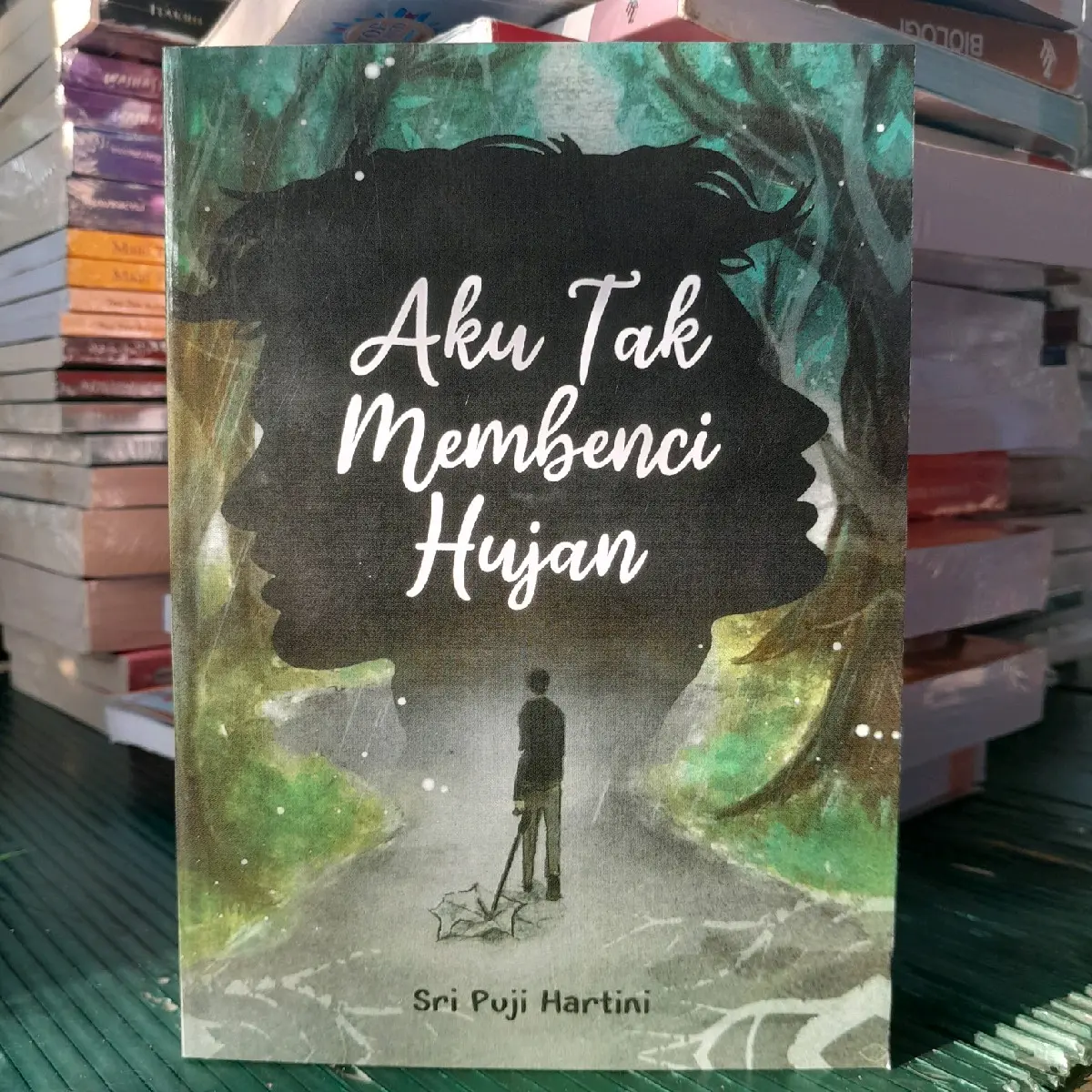 NOVEL FIKSI REMAJA  / AKU TAK MEMBENCI HUJAN Soft Cover