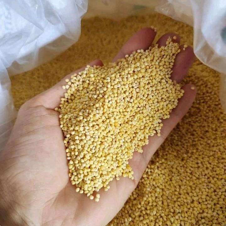 2kg hạt kê nếp kì Sơn nghệ an