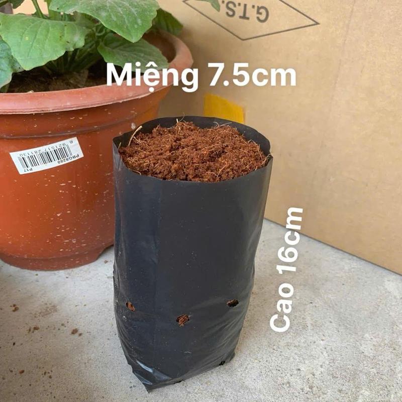  Túi Bầu Ươm Cây  Miệng 7.5cm Cao 16cm  1kg khoảng 500-510 cái 