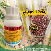 Gambar ZPT Pematang Buah CEPHA 480 SL 100 Ml Etefon 480 Gl dari PUROTANI.ID Kab. Purworejo 2 Tokopedia