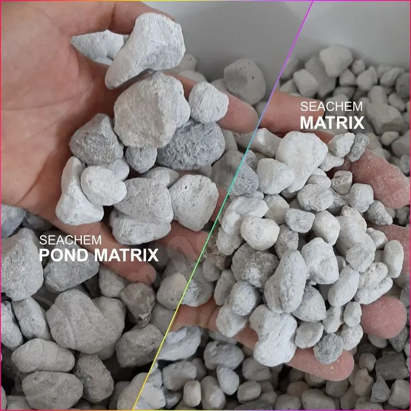 Đá Matrix Chính Hãng Seachem Dùng Để Xử Lý Khử Độc Trong Hồ Cá Cảnh ( Ngôi Nhà Lý Tưởng Cho Vi Sinh ) Mua 5 Tặng 1 và thêm 1 viên Clean 14 cho mỏi đơn hàng 1