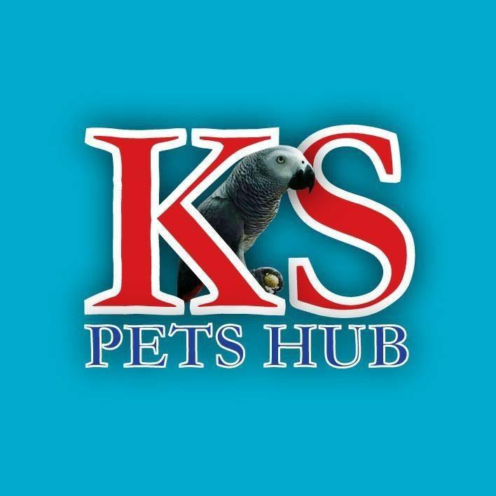 100% Quality Revolution Spoton Fleas Ticks Treatment For Dogs All Size 6