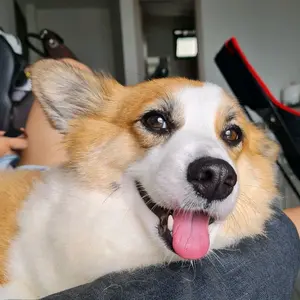 Bách Hoá Giá Rẻ 247