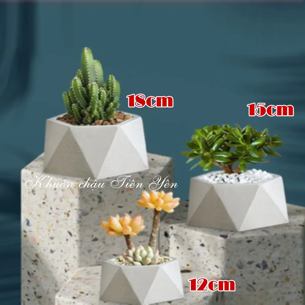 Khuôn chậu Mini trồng sen đá - Sản phẩm Hot 2022 - Khuôn chậu ABS