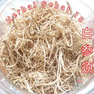 7 Gram Akar Ginseng  - Ramuan Obat Penambah Stamina - Cia Po Premium Quality Dewasa