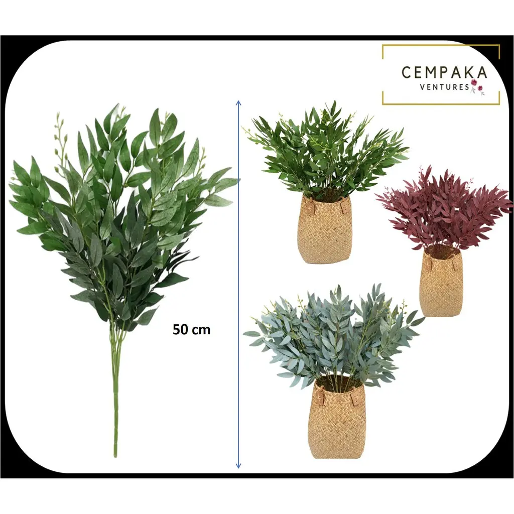 Daun Kari Eucalyptus Willow Leaf Olive Leaves / Daun Kari Daun Willow Eucalyptus Pelamin Daun Hiasan Bunga Pelamin